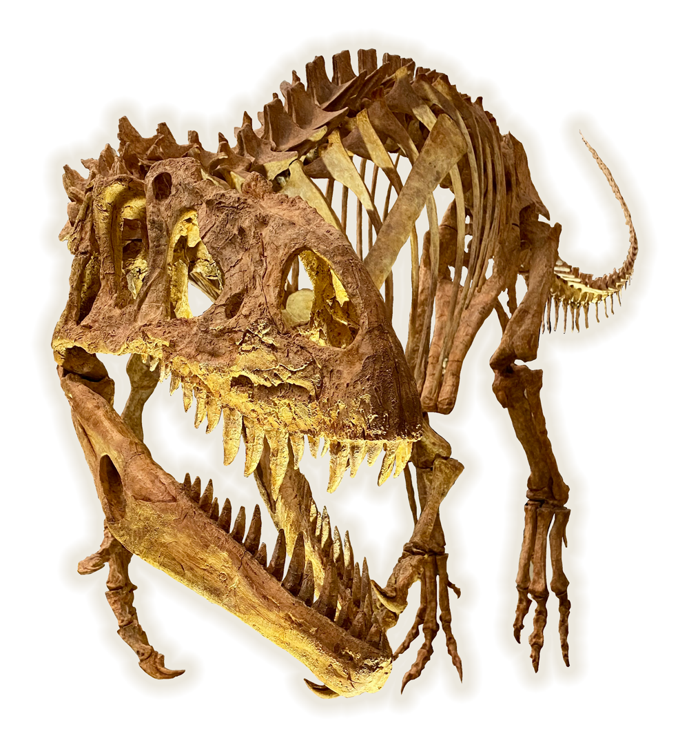 アフロベナトル