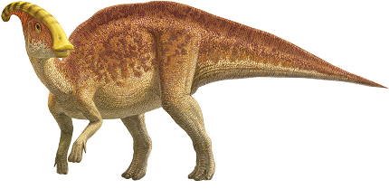 パラサウロロフス