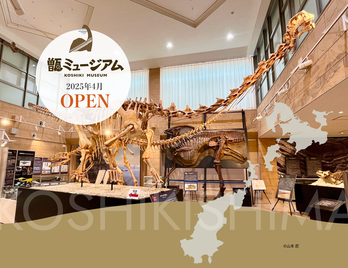 甑ミュージアム