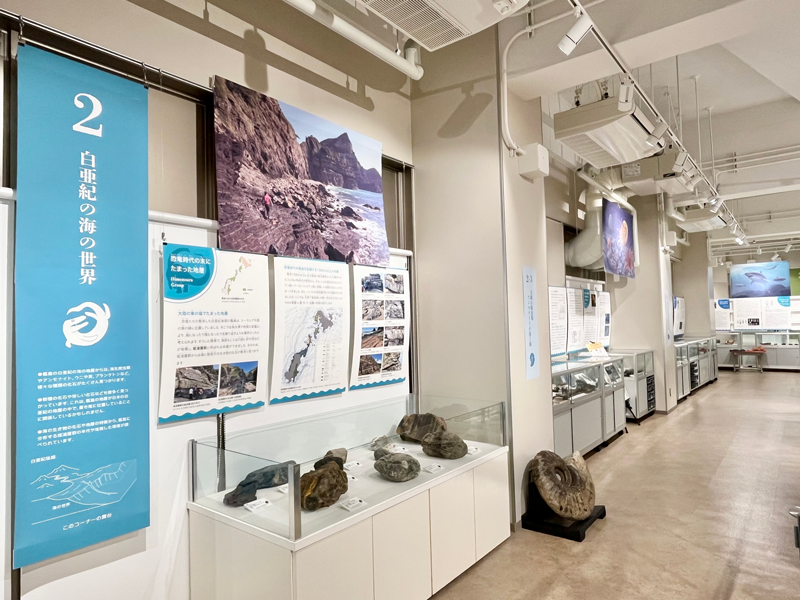 時代と環境ごとに５つの章に分かれた展示室