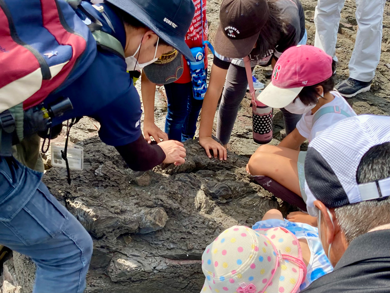 発掘体験2