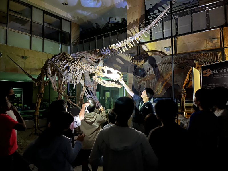 化石プログラム2